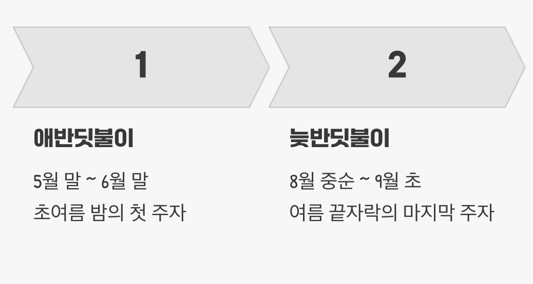 만나는 시기가 달라요