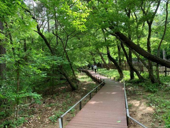 광릉숲길 주요 코스