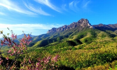 설악산-케이블카-사전-예약-불가!-현장-구매-방법&amp;#44;-요금&amp;#44;-운영시간