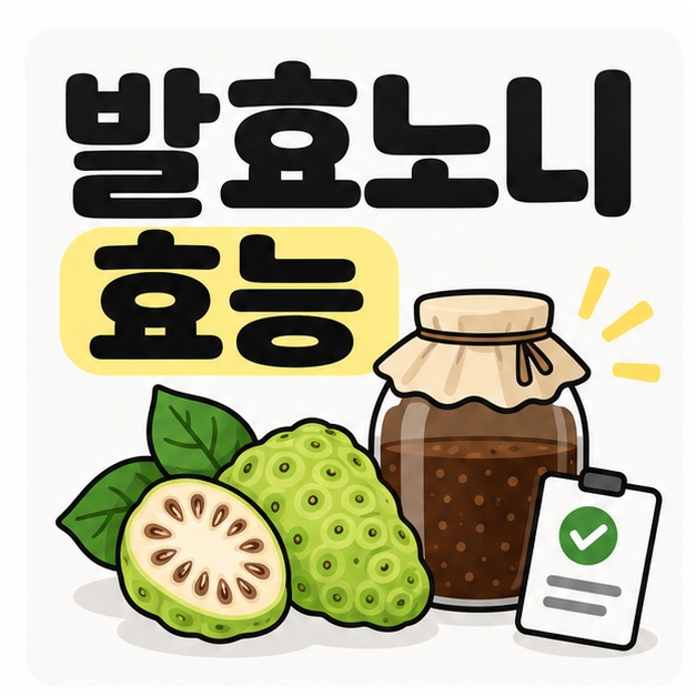 발효노니 효능 제목과 노니 열매, 발효병을 함께 표현한 카드뉴스