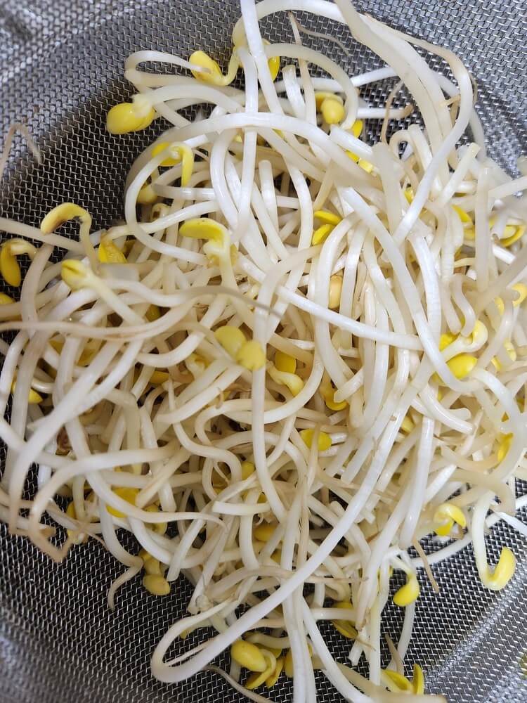 콩나물 씻기