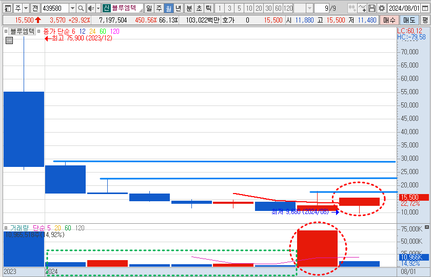블루엠텍 주가 월봉 차트 분석