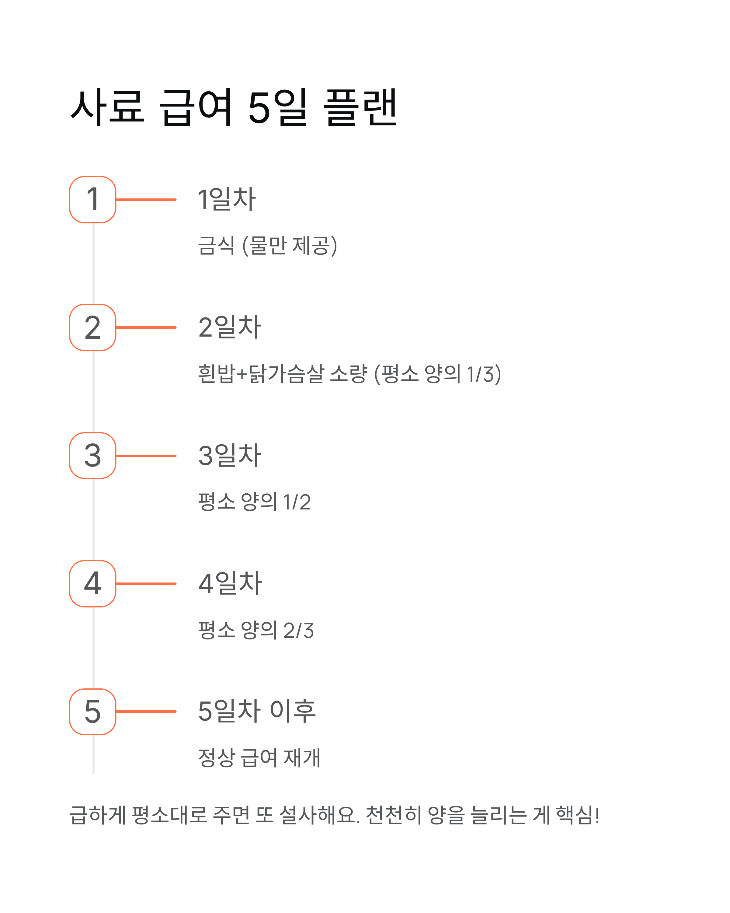 강아지 설사 🐕 원인·증상·대처법 총정리! 언제 병원 가야 할까?