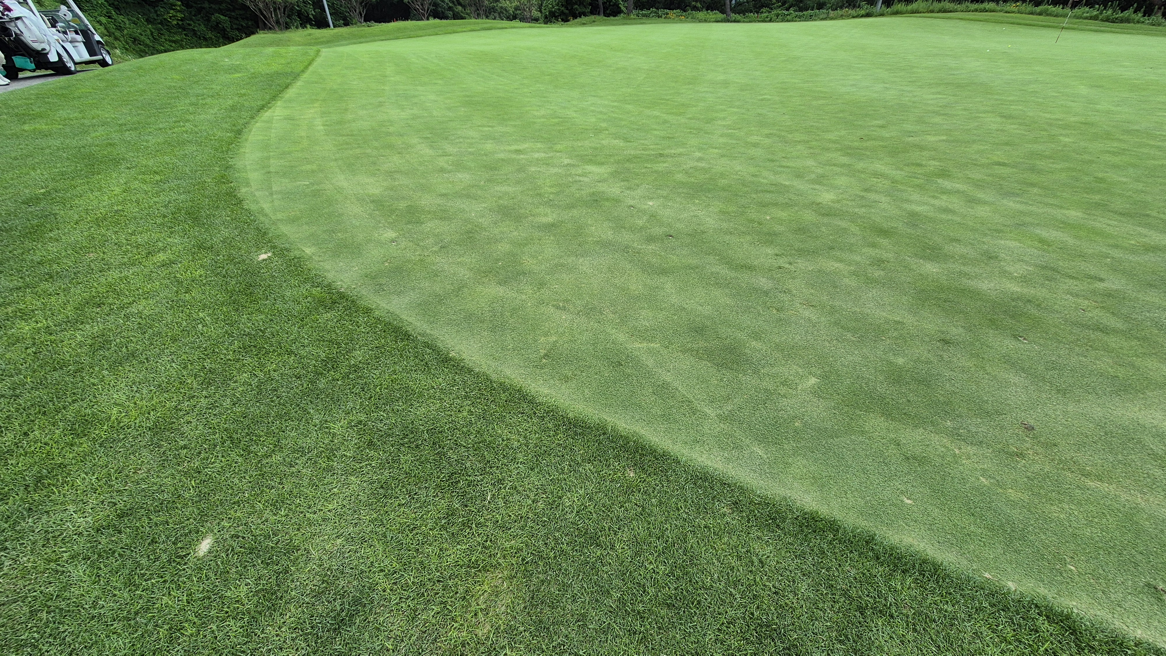 참밸리cc 라운드 후기