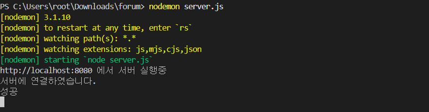 node.js가 실행되어 데이터베이스와 연결에 성공했음을 나타내는 이미지