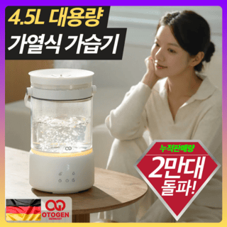 가열식 가습기 추천 순위 TOP 5(25년 11월) - 네이버, 쿠팡 판매 순위