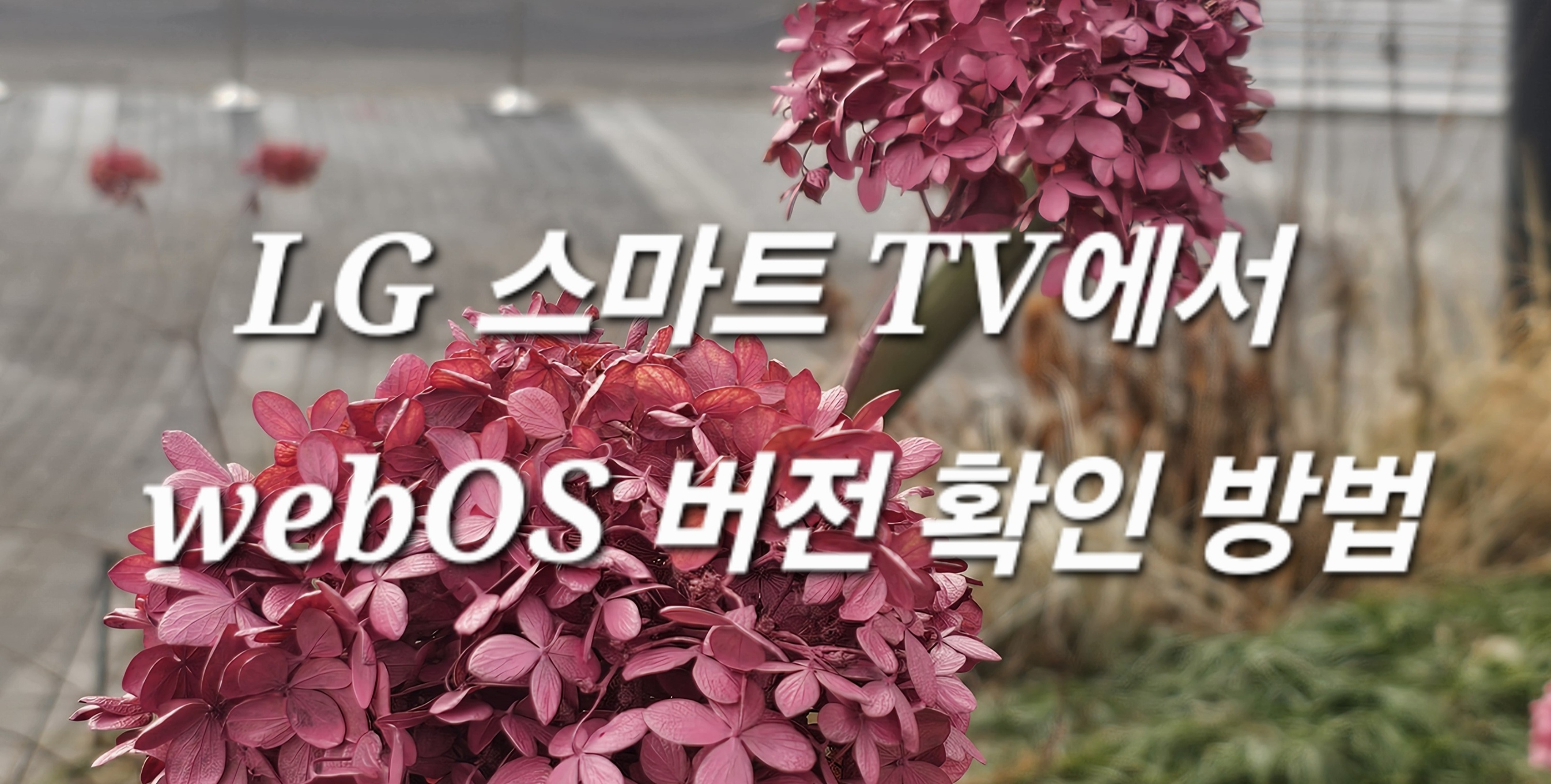 LG전자 스마트 TV에서 webOS 버전 확인 방법