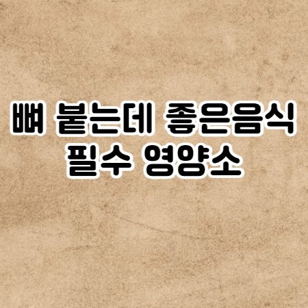 뼈 붙는데 좋은 음식 뼈에 좋은 필수 영양소