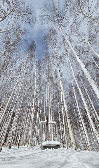 경북 겨울 명소 추천, 설경과 자연이 아름다운 겨울 여행지