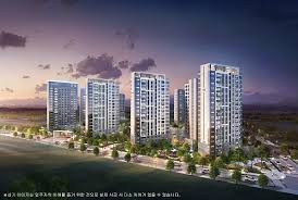 하니 대전 프로젝트