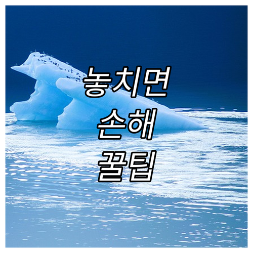 의료급여 혜택 2025 홍천군 노인 ..