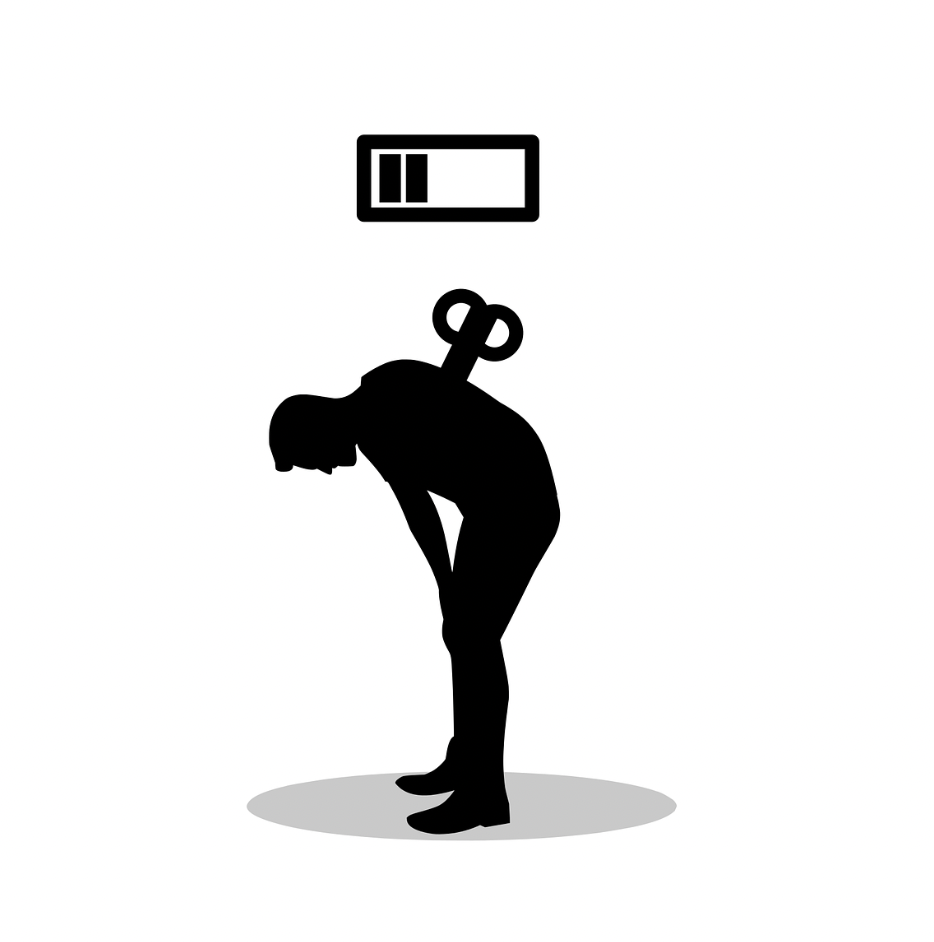 배보다 마음이 더 자주 허기지는 시대