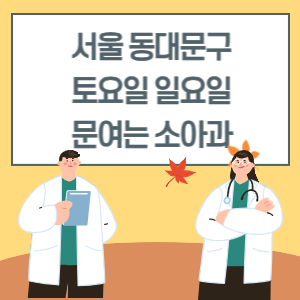 서울 동대문구 토요일 일요일 소아과 진료 병원 리스트