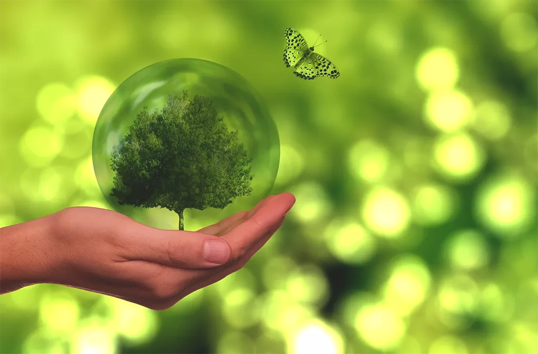 RE100 산단법, 정부 지원금과 세제 혜택까지 총정리