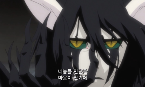 일본애니블리치