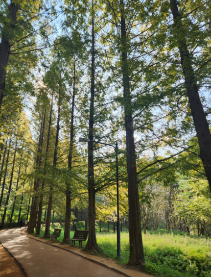 금강자연휴양림4