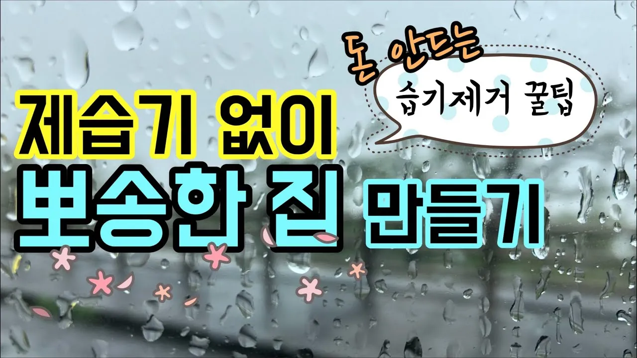 제습기 없이 습기 제거 끝 숯 염화칼슘 등 천연 제습제 활용법 완벽 가이드_5