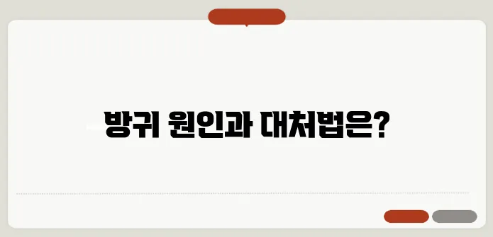 방귀를 자주 뀌는 이유와 소화 건강 관리법