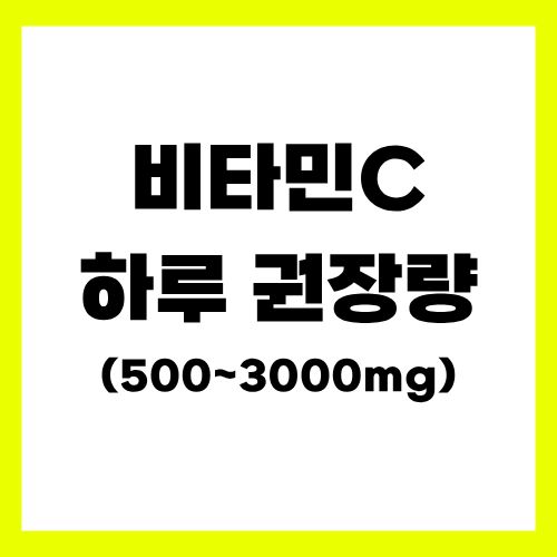 비타민c 하루 권장량