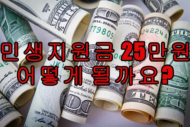 민생지원금 25만원 어떻게 될까요?