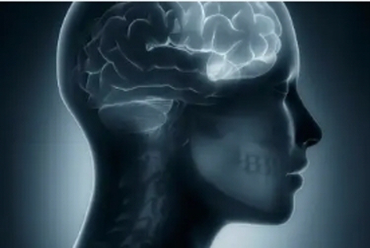 성인 ADHD 테스트