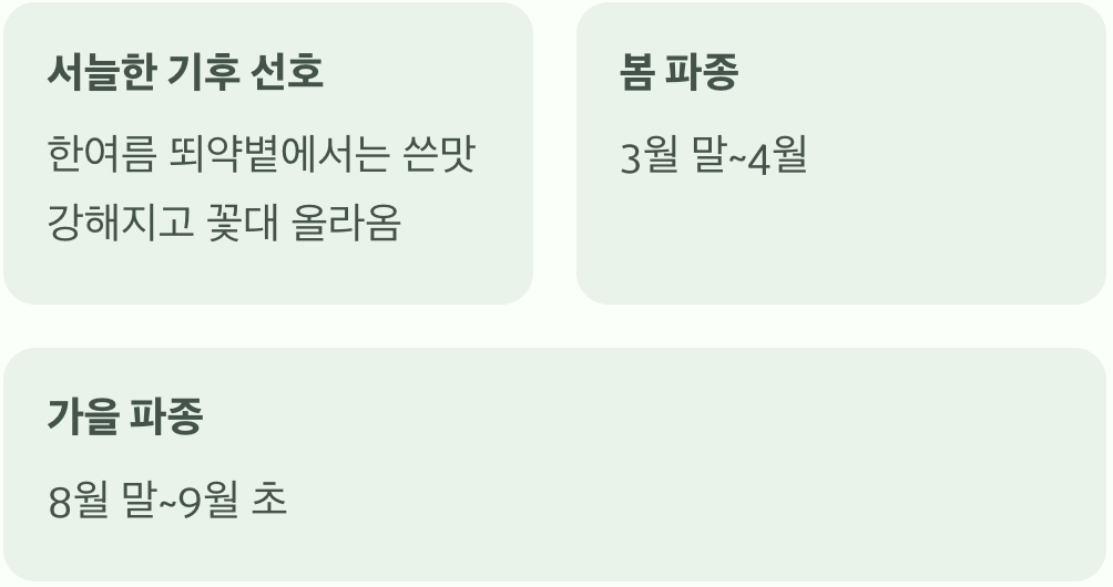 씨앗 뿌리기, 딱 좋은 시기는?