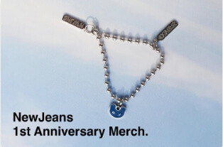 뉴진스 서머소닉 아이템