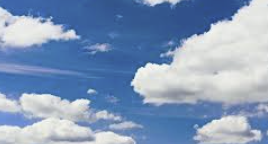 ENTP 유형 특징 분석