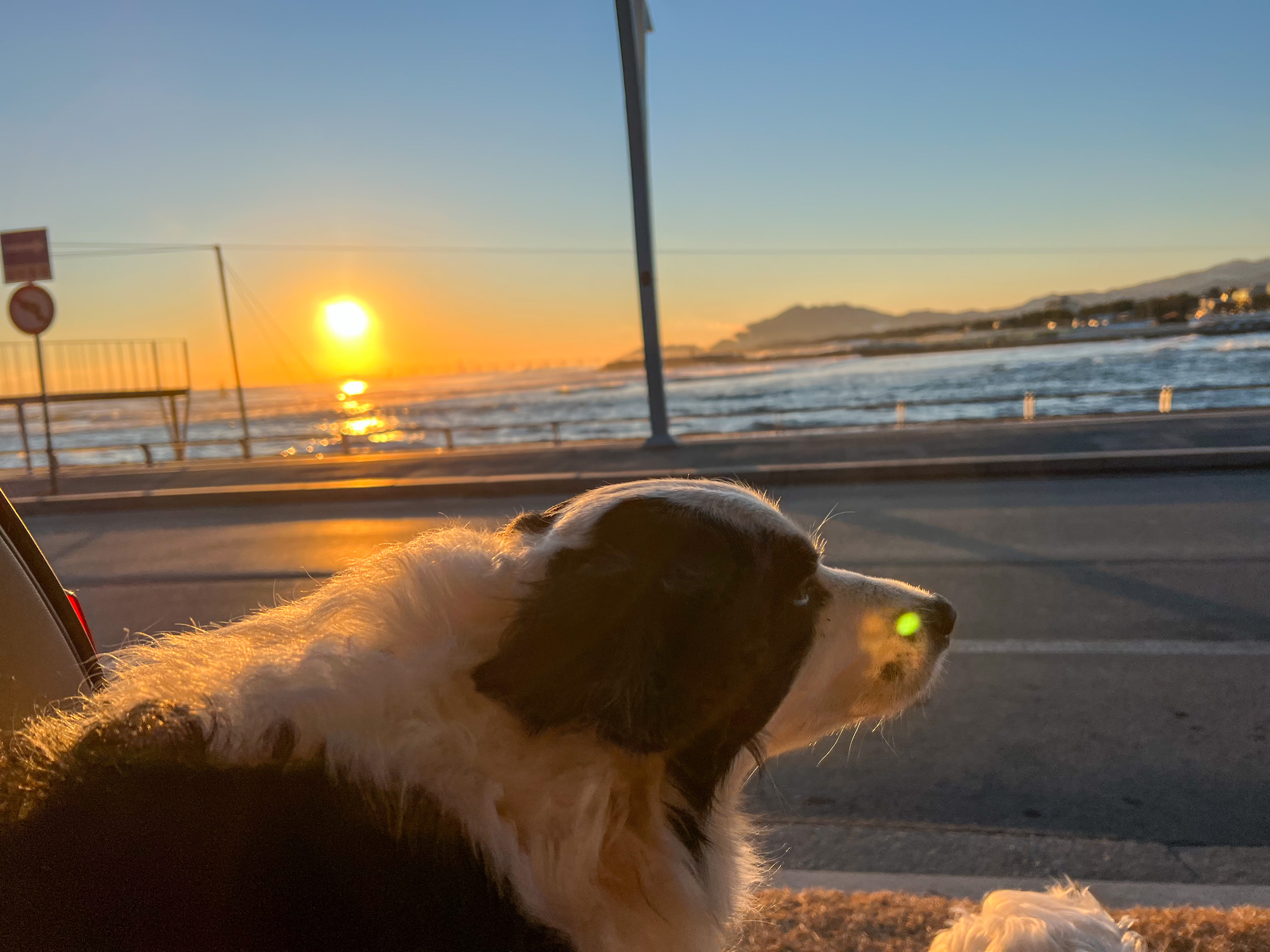 안목해변차박