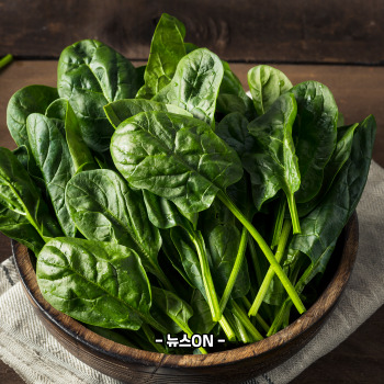 엽산이 많은 음식