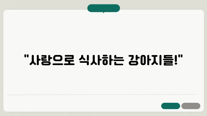 강아지보호소 건주의 번역