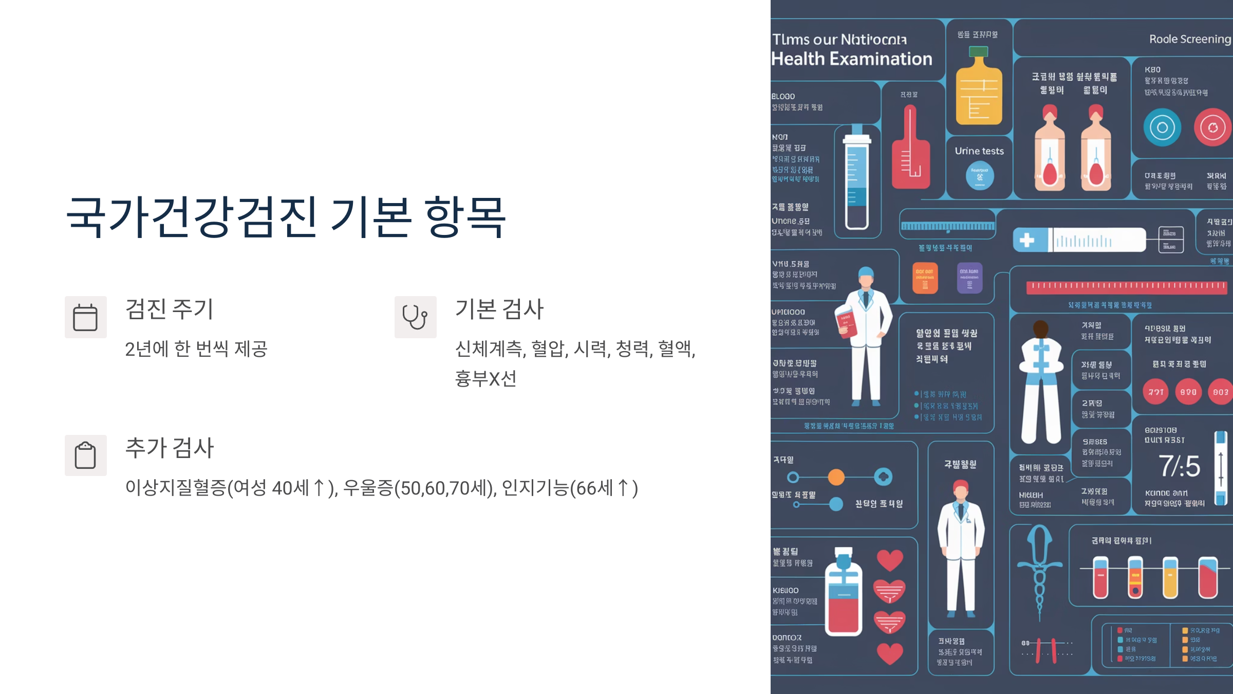 국가 건강 검진 항목 설명