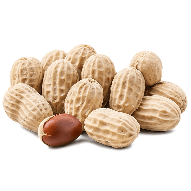 땅콩 삶는 법 (깐 땅콩, 껍질 땅콩) 및 효능 알아보기