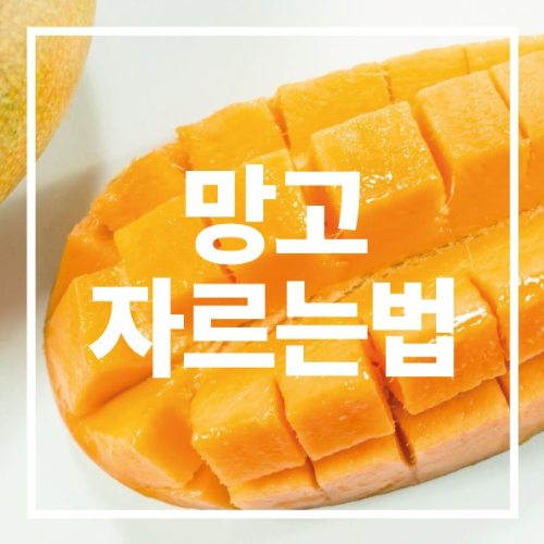 망고 자르는법