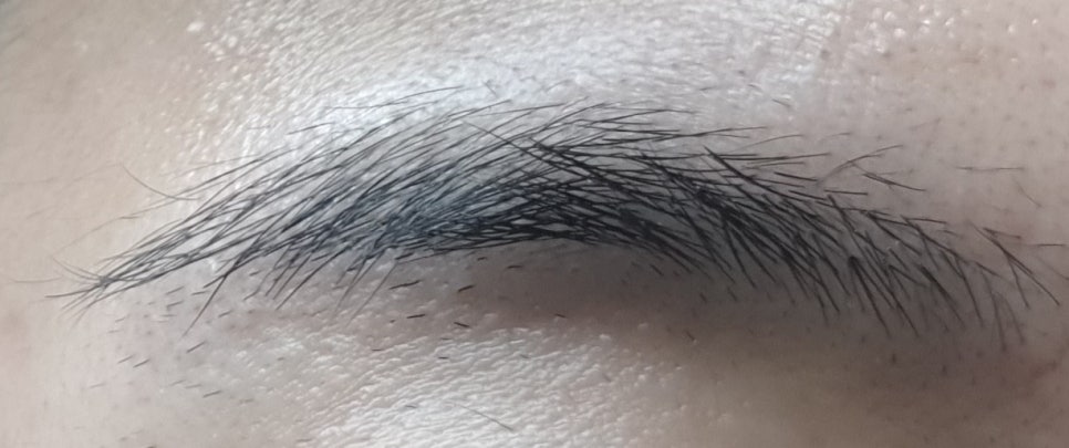 남자 아이브로우