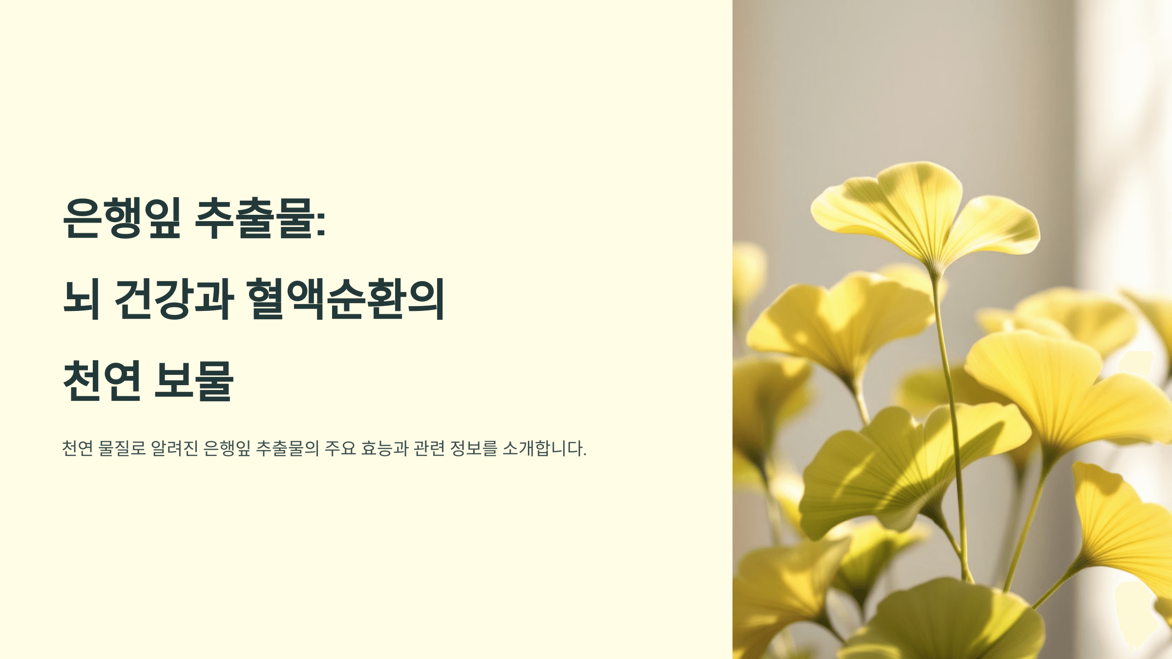 은행잎 사진입니다.