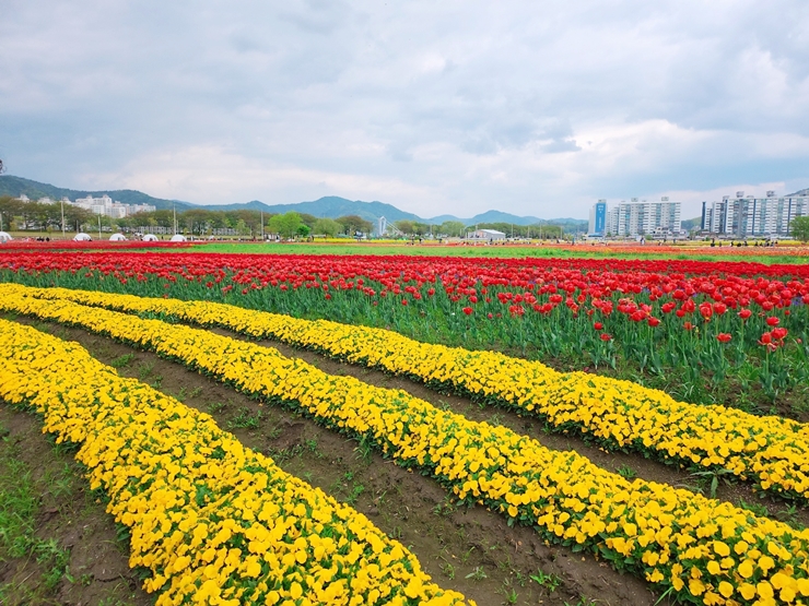 순천 국제정원박람회 네덜란드 정원