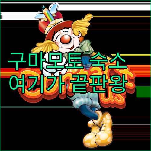 구마모토 숙소 추천 신축 온천 호텔부..