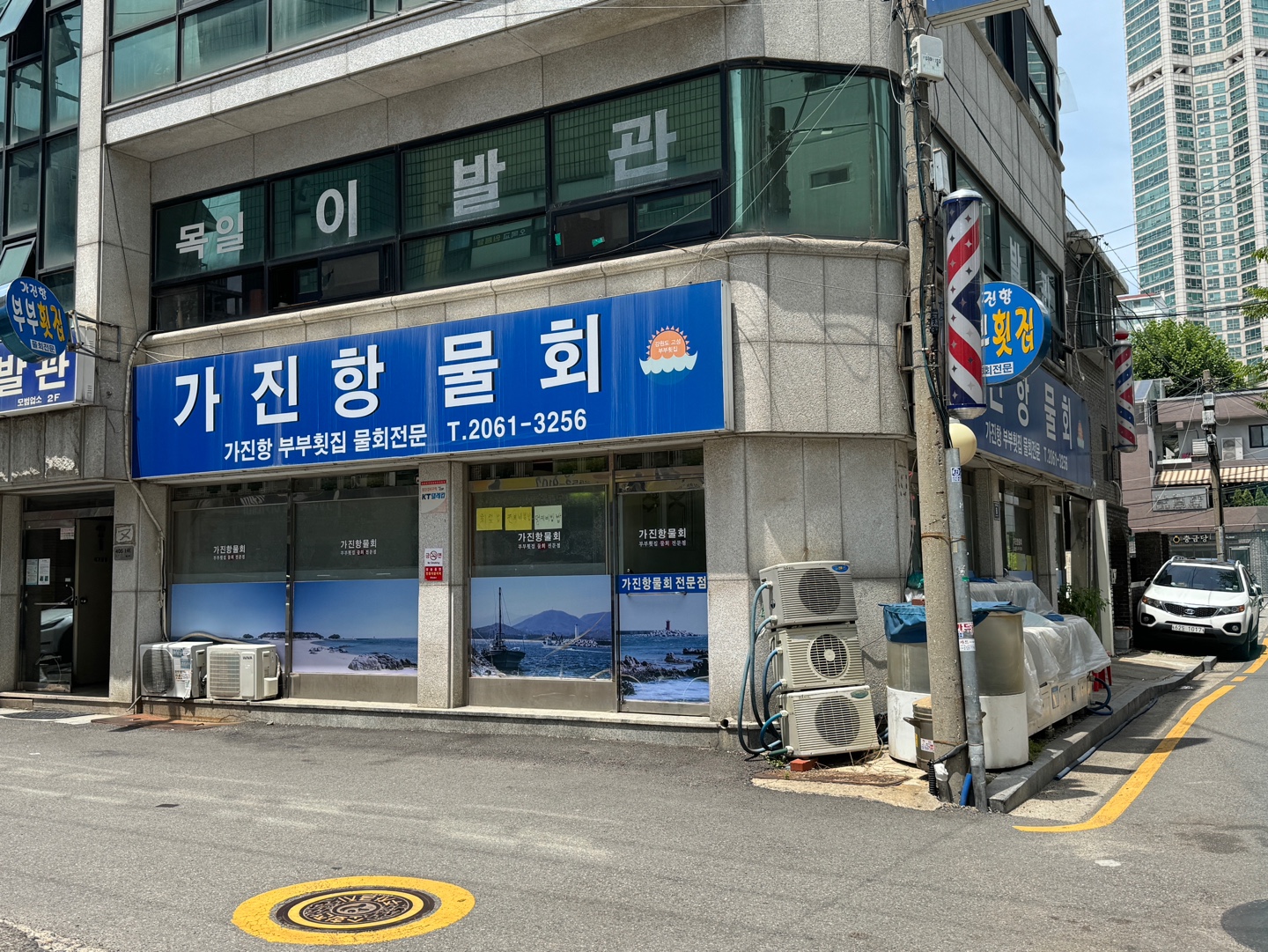 가진항물회