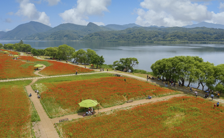 물의 정원 이미지