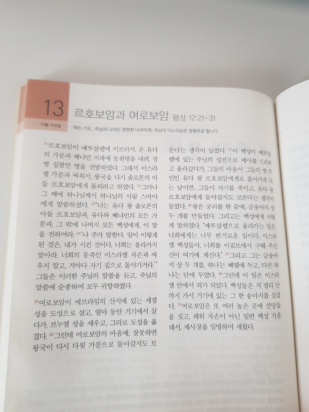 211013 시냇가에 심은 나무