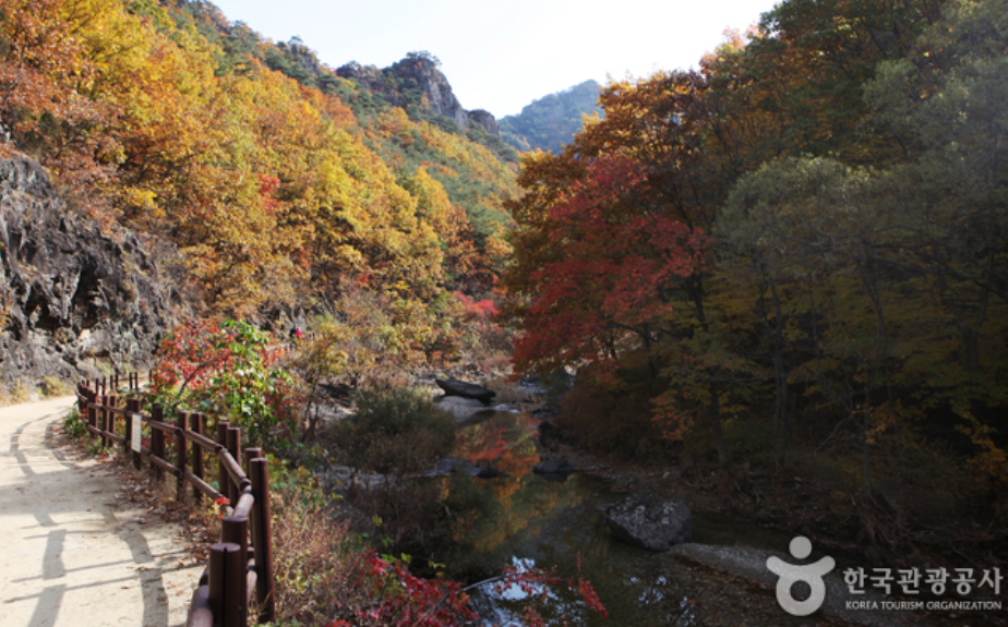 주왕산 국립공원 단풍