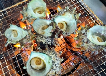 11월 제철 해산물 소라