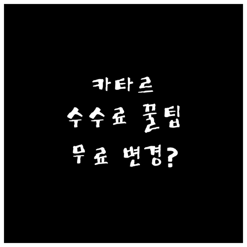 카타르항공 좌석 변경 수수료와 무료 ..