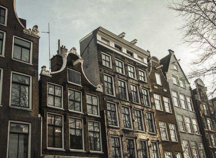 디지털 건강 관리: AI 기반 진단과 예방 의료의 미래