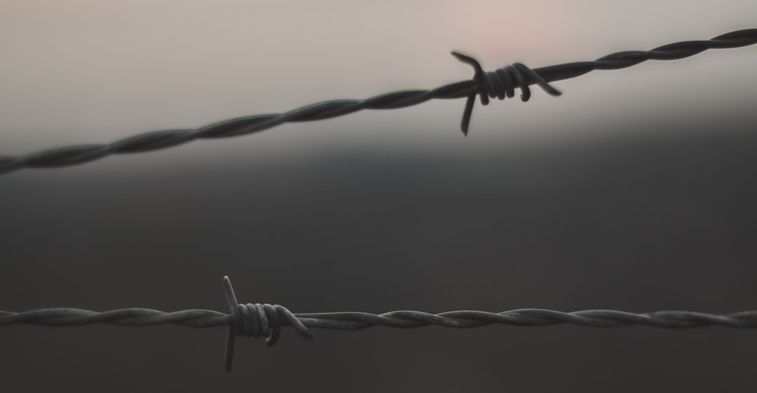 Amnesty