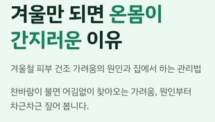 겨울철 피부 건조 가려움