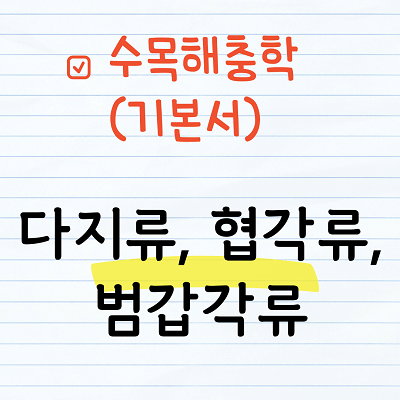 다지류, 협각류, 범갑각류