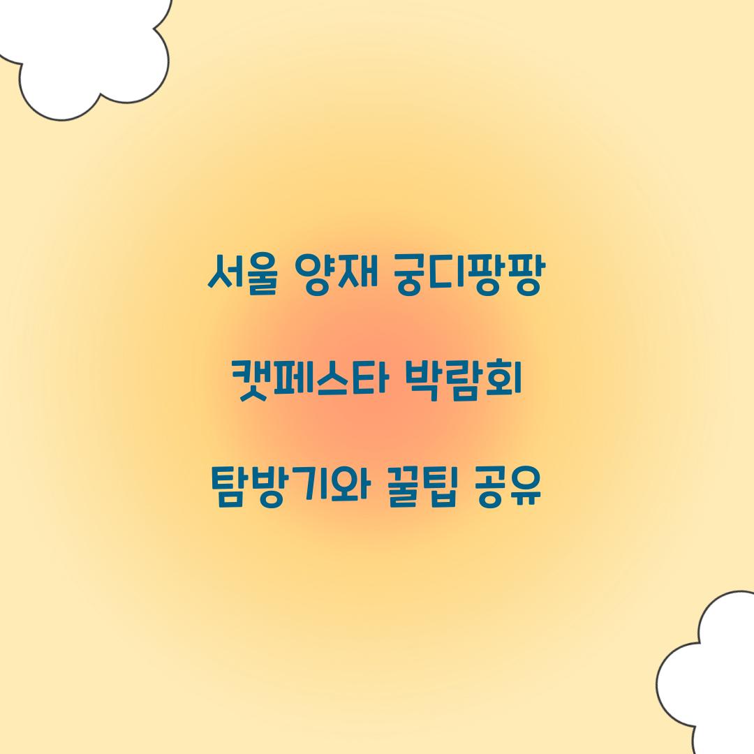 서울 양재 궁디팡팡 캣페스타 박람회