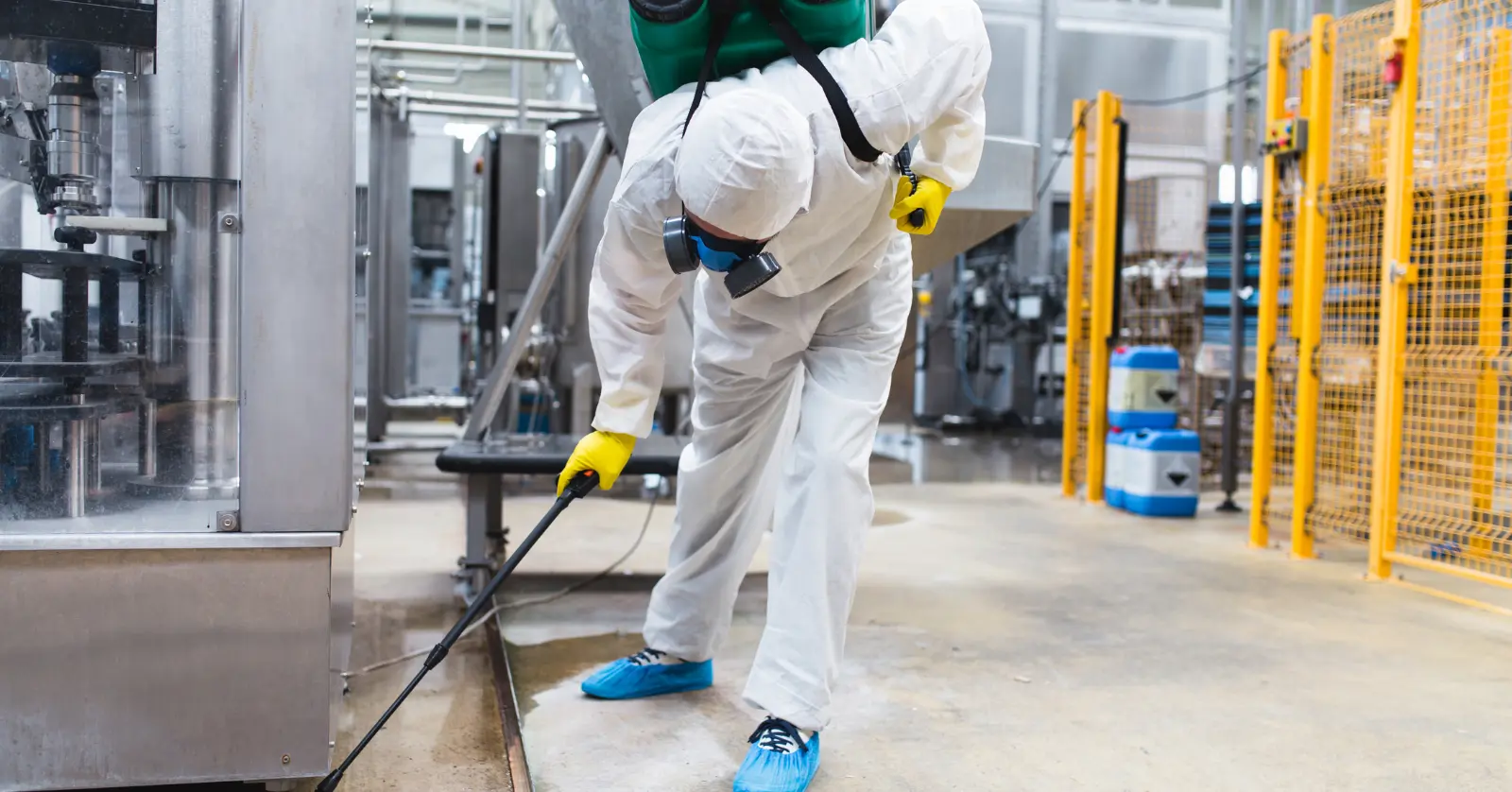 세스코 무료 진단 서비스란?